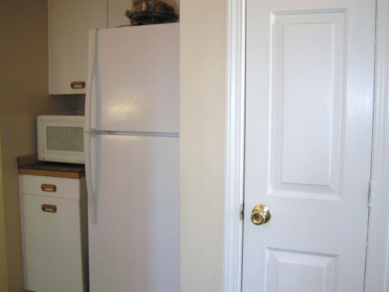 additional cabinets and frig